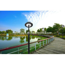 Hot Sale Garden Lamps IP65 Waterproof LED Circular Light Fixtures 60W 80W Post Top Area Light